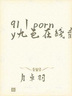 91丨porny九色在线观看