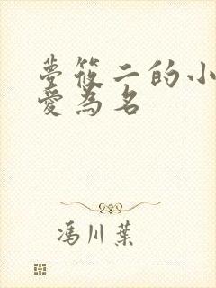 梦筱二的小说以爱为名