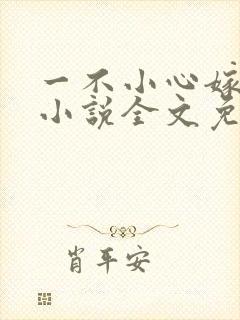 一不小心嫁总裁小说全文免费阅读