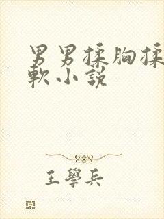 男男揉胸揉到腿软小说封面