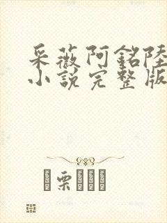 采薇阿铭陆三平小说完整版封面