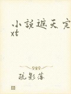 小说遮天完本txt封面