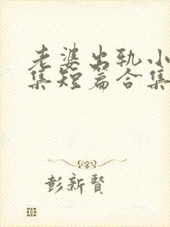 老婆出轨小说合集短篇合集