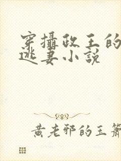 穿摄政王的侍爱逃妻小说