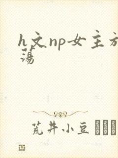 h文np女主放荡
