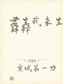 君生我未生全诗解释