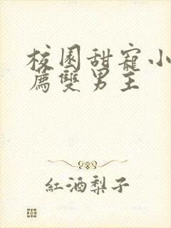 校园甜宠小说推荐双男主封面