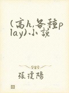 (高h,各种play)小说