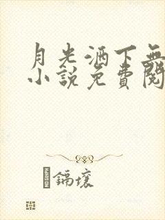 月光洒下无人巷小说免费阅读