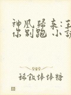 神凰归来:王妃你别跑 小说