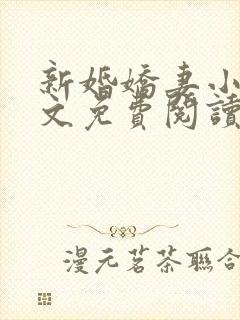 新婚娇妻小莹全文免费阅读最新章节