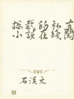 总裁的私有宝贝小说在线阅读