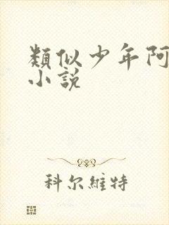 类似少年阿宾的小说