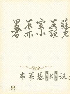 男友室友苏杳顾君亦小说免费阅读