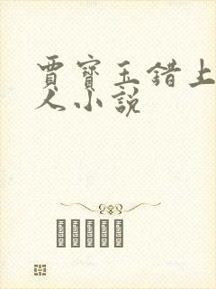 贾宝玉错上王夫人小说