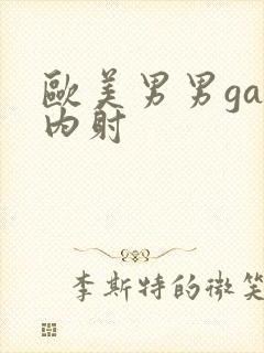 欧美男男gay内射