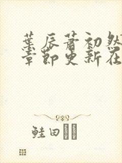 叶辰萧初然最新章节更新在线阅读