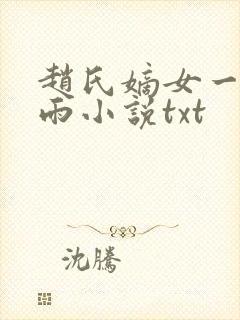赵氏嫡女一蓑烟雨小说txt
