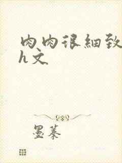 肉肉很细致的高h文