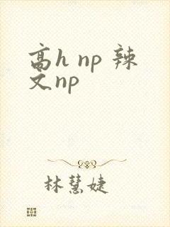 高h np 辣文np