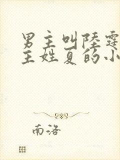 男主叫陆霆琛女主姓夏的小说