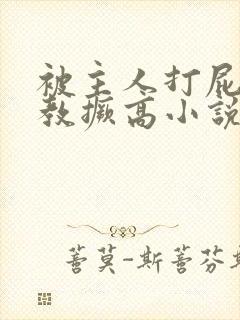 被主人打屁股调教撅高小说