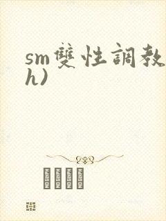 sm双性调教(h)