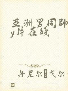 亚洲男同帅gay片在线