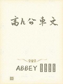 高h公车文