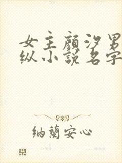 女主颜汐男主祁纵小说名字叫什么封面