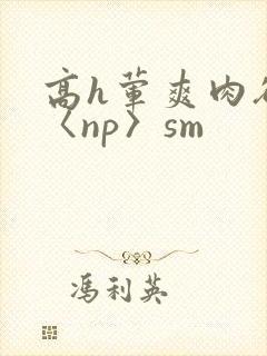 高h荤爽肉欲文〈np〉sm