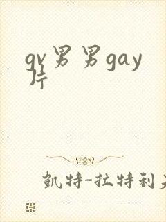 gv男男gay片