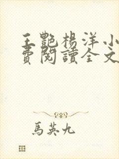 王艳杨洋小说免费阅读全文最新章节封面