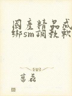 国产精品成人捆绑sm调教软件