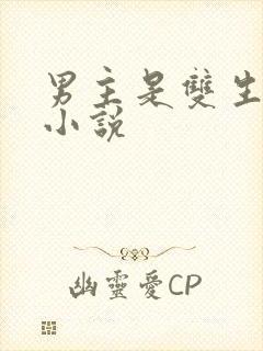 男主是双生子的小说封面