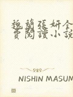 魏兰张妍全文免费阅读小说是什么封面