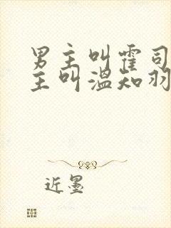 男主叫霍司砚女主叫温知羽的小说