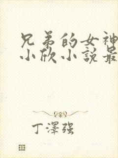 兄弟的女神女友小欣小说最新章节更