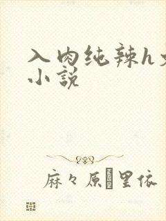 入肉纯辣h文 小说
