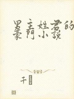 男主姓君的现代豪门小说