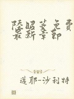 陆昭菱免费阅读最新章节