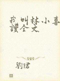 我叫林小喜全阅读全文