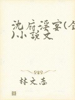 沈府淫宴(全肉)小说文