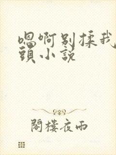 嗯啊别揉我的奶头小说