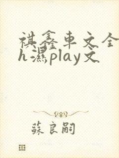 祺鑫车文全肉高h湿play文