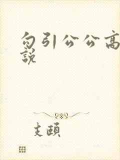 勾引公公高h小说封面