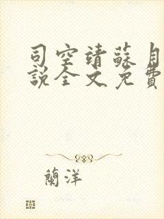 司空靖苏月汐小说全文免费阅读