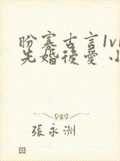 盼寡古言1v1先婚后爱 小说免费封面