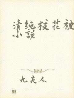 清纯校花被日常小说