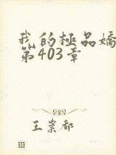 我的极品娇妻 第403章